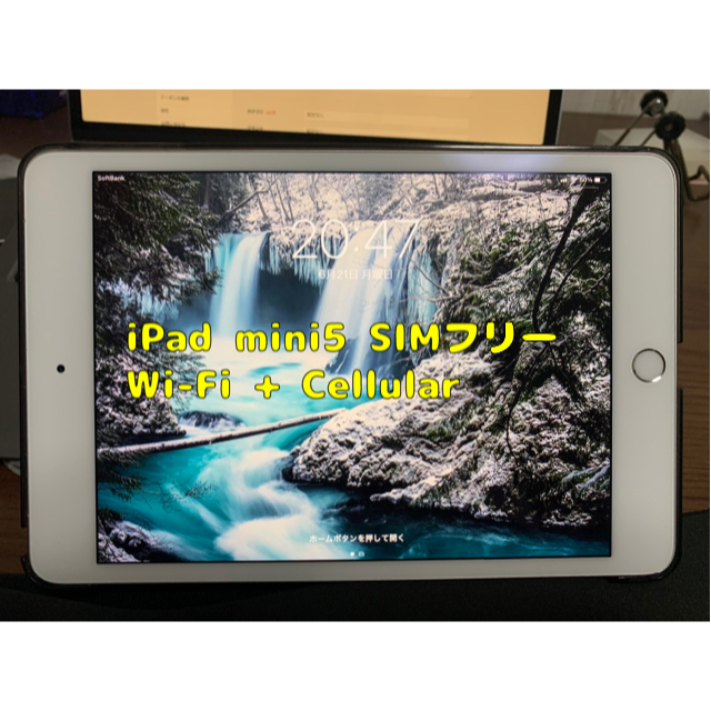 ワンオーナー　iPad mini5 256GB ゴールド　セルラーSIMフリー版