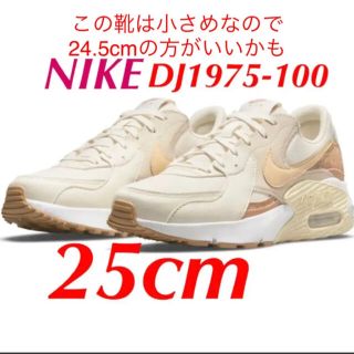 ナイキ(NIKE)のNIKE エア マックス エクシー コルク DJ1975-100 25cm(スニーカー)