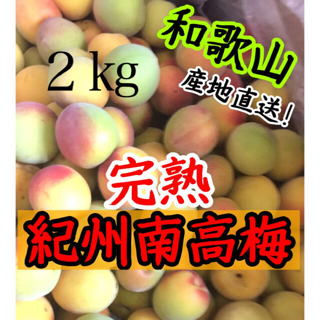 和歌山　南高梅　完熟梅２㎏ 食品/飲料/酒の食品(フルーツ)の商品写真