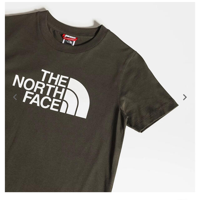 THE NORTH FACE(ザノースフェイス)のnico-pon様　専用　ノースフェイス　ビッグロゴ　T　カーキ　170cm レディースのトップス(Tシャツ(半袖/袖なし))の商品写真