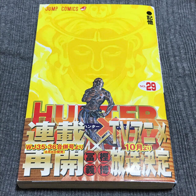 集英社(シュウエイシャ)のＨＵＮＴＥＲ×ＨＵＮＴＥＲ ２９ エンタメ/ホビーの漫画(その他)の商品写真