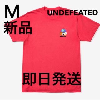 アンディフィーテッド(UNDEFEATED)のアンディフィーテッド UNDEFEATED GLOBALLS S/S TEE(Tシャツ/カットソー(半袖/袖なし))