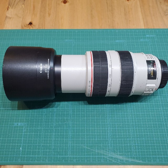 EF70-300mm F4-5.6L IS USMキヤノン