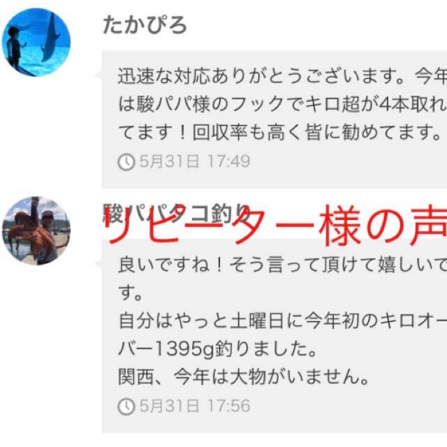 タコ釣り用-駿パパ・タコエギの針・超硬質ステンレス製・計20本 スポーツ/アウトドアのフィッシング(ルアー用品)の商品写真