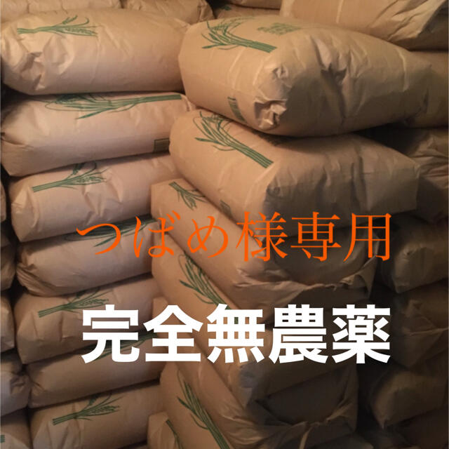 素晴らしい価格 つばめ様専用ページ 無農薬玄米 20kg(10kg×2)+