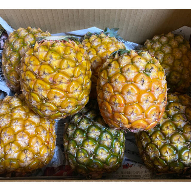 石垣島産ゴールドバレル8玉セット 食品/飲料/酒の食品(フルーツ)の商品写真