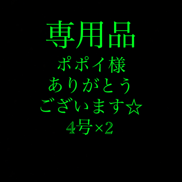 さびき 仕掛け針 2枚◉4号×2点 他より太く丈夫な糸 最安値 スポーツ/アウトドアのフィッシング(釣り糸/ライン)の商品写真