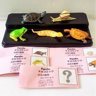 フルタセイカ(フルタ製菓)のチョコエッグ　日本の動物コレクション　４種類　おまけのツチノコ（舌なし）付き(その他)