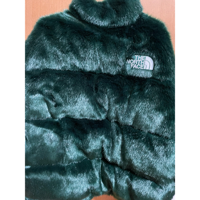 20aw supreme north face シュプリーム　ノースフェイス 1