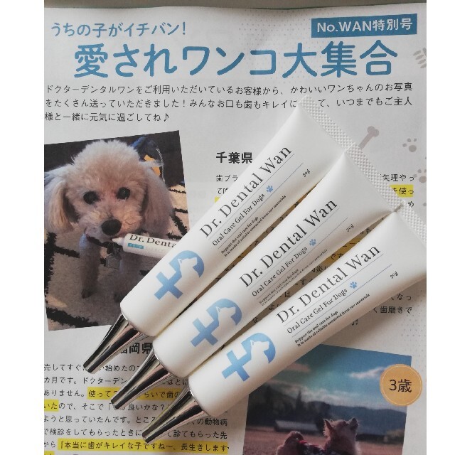 新品　Dr.dental wan ドクターデンタルワン