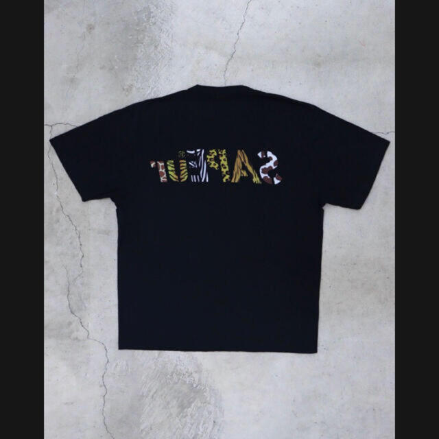 Supreme(シュプリーム)の【XL】SAPEur サプール NightSafari  Tシャツ メンズのトップス(Tシャツ/カットソー(半袖/袖なし))の商品写真