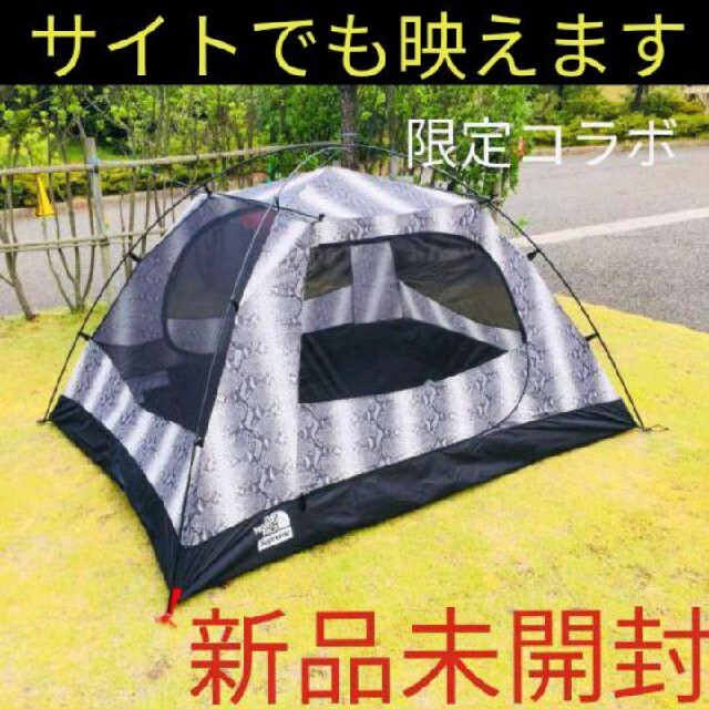 THE NORTH FACE(ザノースフェイス)のSupreme THE NORTH FACE STORMBREAK 3 TENT スポーツ/アウトドアのアウトドア(テント/タープ)の商品写真