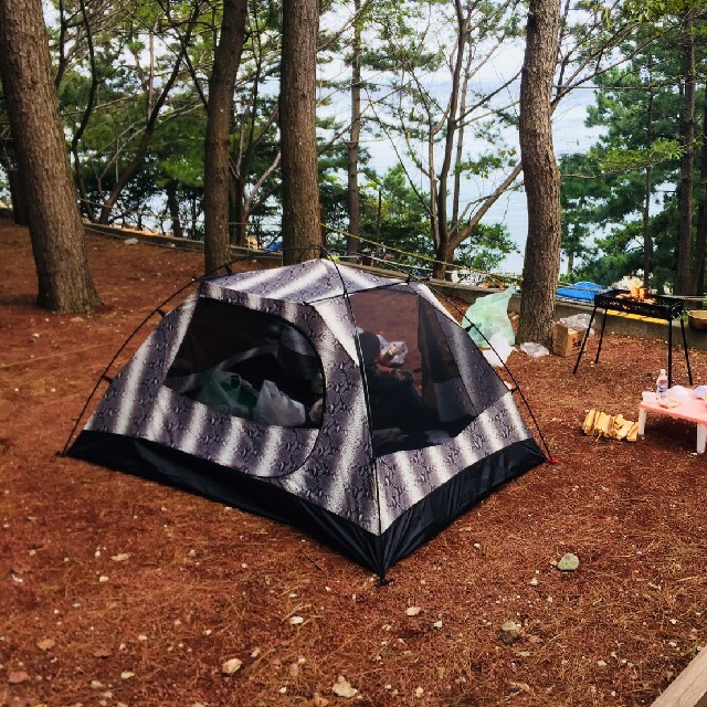 THE NORTH FACE(ザノースフェイス)のSupreme THE NORTH FACE STORMBREAK 3 TENT スポーツ/アウトドアのアウトドア(テント/タープ)の商品写真