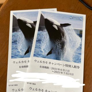 鴨川シーワールド　チケットペア(水族館)