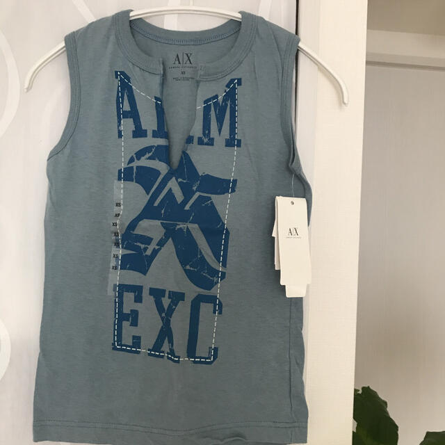 Armani(アルマーニ)のアルマーニ　Tシャツ レディースのトップス(Tシャツ(半袖/袖なし))の商品写真
