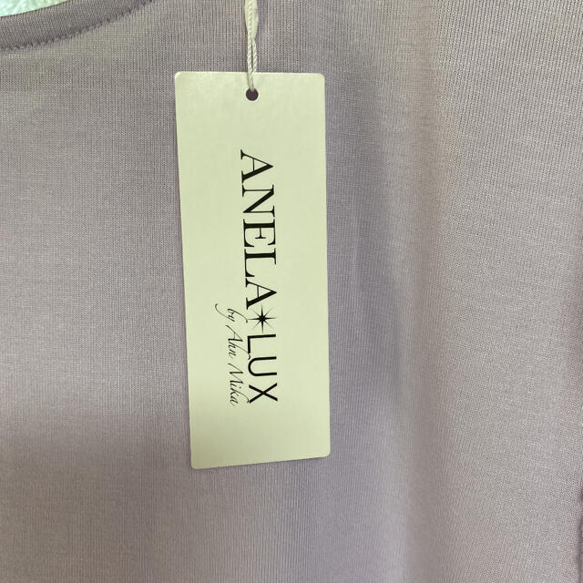 ANELALUX(アネラリュクス)のアンミカTシャツ　定価12500円＋税　ANELA＊LUX トップス　11号　 レディースのトップス(カットソー(半袖/袖なし))の商品写真