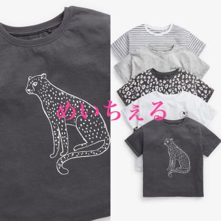 ネクスト(NEXT)のブラック/グレー レオパード柄半袖Tシャツ5枚組（3y-16y）(Tシャツ/カットソー)