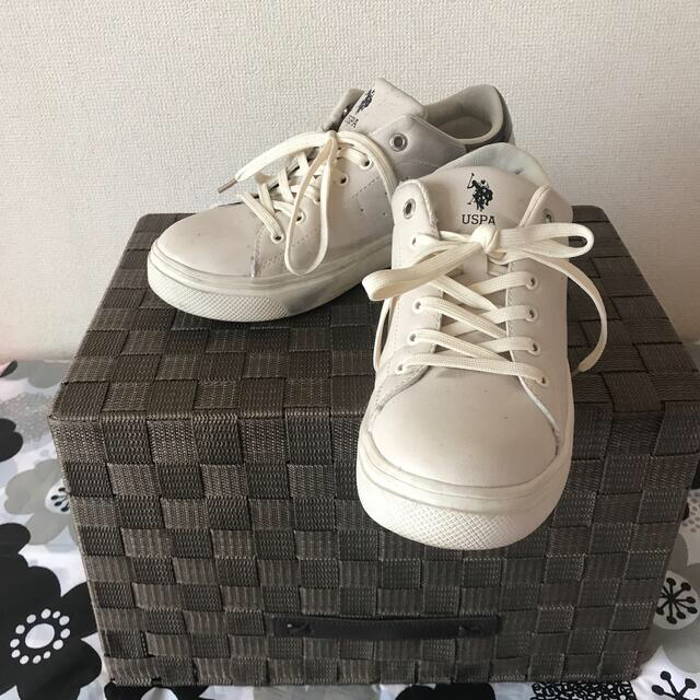 POLO RALPH LAUREN(ポロラルフローレン)の🧏‍♀️U.S.POLO ASSN.-LL/オフホワイト/中古👟 レディースの靴/シューズ(スニーカー)の商品写真