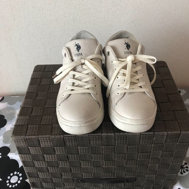 POLO RALPH LAUREN(ポロラルフローレン)の🧏‍♀️U.S.POLO ASSN.-LL/オフホワイト/中古👟 レディースの靴/シューズ(スニーカー)の商品写真