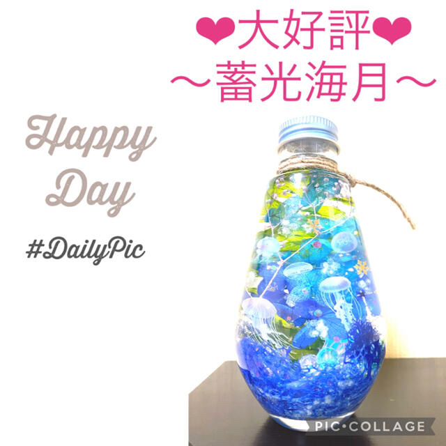 【海月】〜❄︎癒しのクラゲMix❄︎〜❤︎蓄光アクアリウム❤︎しずくL