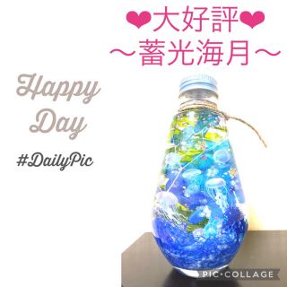 【海月】〜❄︎水槽風❄︎〜深海アクアリウム♡夜光石＆蓄光ホログラムin♡♯1(プリザーブドフラワー)