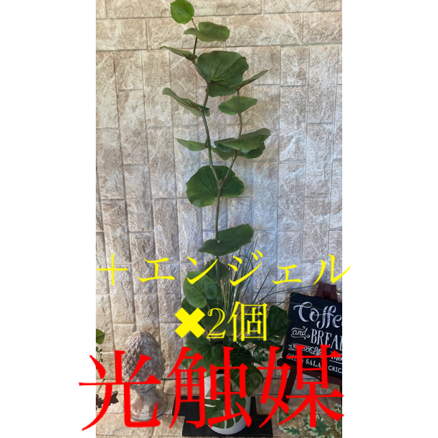 光触媒　人工観葉植物　ウォールグリーン　造花　インテ　シーグレープとモンステラのサムネイル