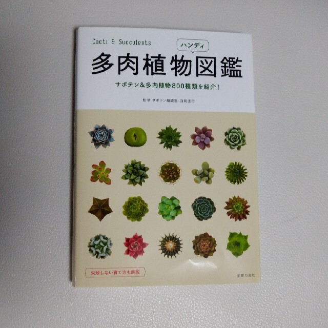 多肉植物ハンディ図鑑 サボテン＆多肉植物８００種類を紹介！ エンタメ/ホビーの本(趣味/スポーツ/実用)の商品写真