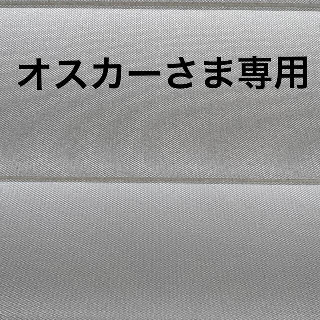 鳥用おもちゃ　アクリル　　オスカーさま専用