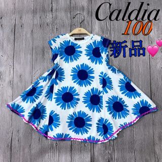 Caldia 新品 Caldiaカルディア涼感 青ひまわり柄ワンピース Aラインワンピースの通販 ラクマ Caldia 新品 Caldiaカルディア涼感 青ひまわり柄ワンピース Aラインワンピースの通販 ラクマ