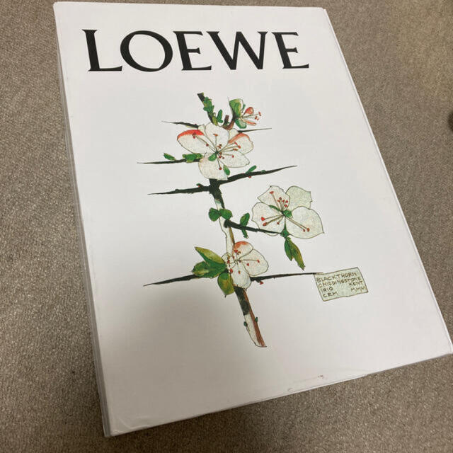 LOEWE(ロエベ)のloewe 空箱 レディースのバッグ(ショップ袋)の商品写真