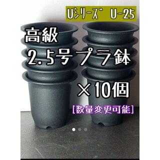 【Ｕ25】◎10個◎ 高級 プラ鉢 2.5号 U-25 硬質 丸鉢 ミニ鉢(プランター)