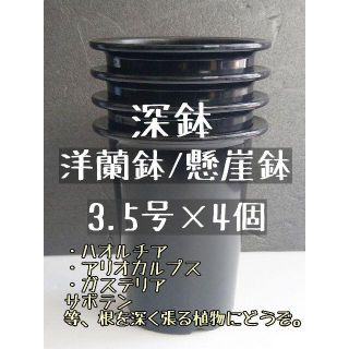 ◎4個◎ 深鉢 3.5号 3.5寸 懸崖鉢 洋蘭鉢 プラ鉢 長鉢 ハオルチア(プランター)