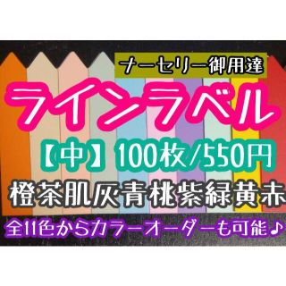 ◎ 100枚 ◎ 10色 ( 中 ) ラインラベル 園芸ラベル カラーラベル(プランター)