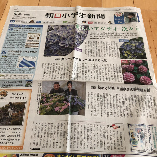 朝日新聞出版(アサヒシンブンシュッパン)の朝日小学生新聞　14日分　まとめ売り エンタメ/ホビーのコレクション(印刷物)の商品写真