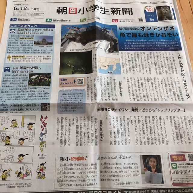 朝日新聞出版(アサヒシンブンシュッパン)の朝日小学生新聞　14日分　まとめ売り エンタメ/ホビーのコレクション(印刷物)の商品写真