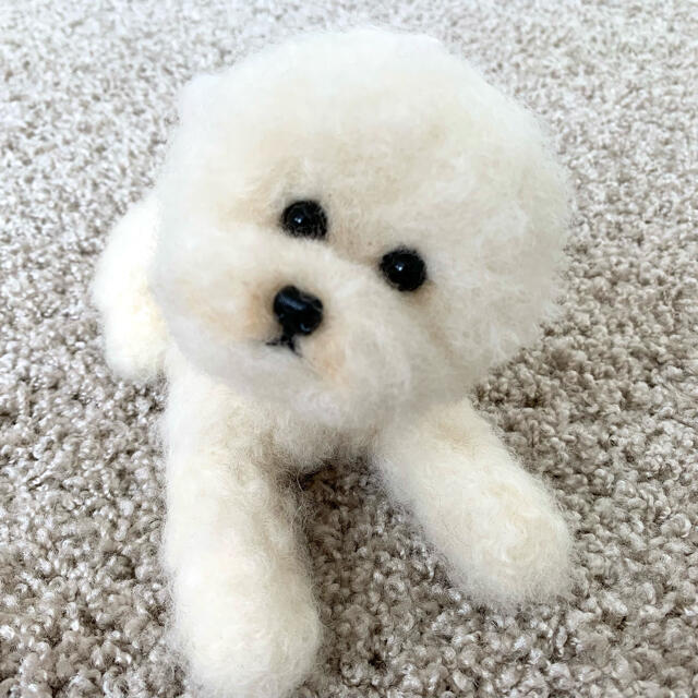 羊毛フェルト　ビションフリーゼ　犬　トイプードル　アフロ ハンドメイドのぬいぐるみ/人形(ぬいぐるみ)の商品写真