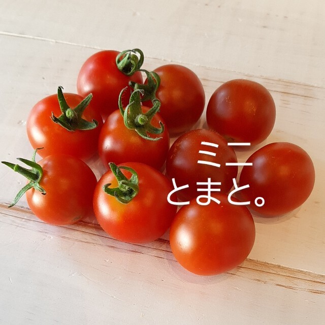 夏のお野菜セット。 食品/飲料/酒の食品(野菜)の商品写真