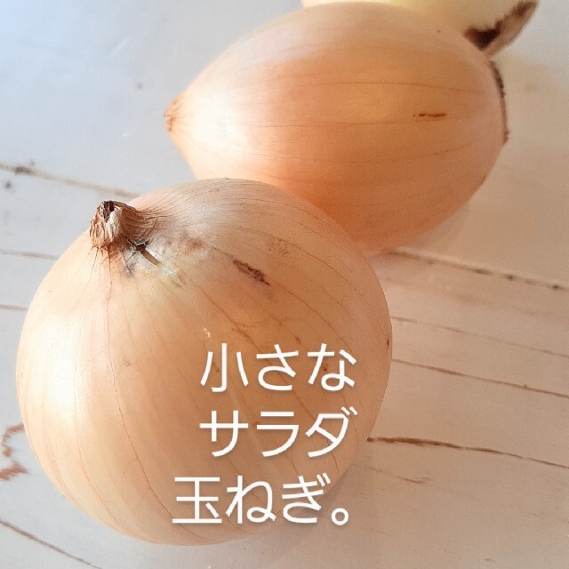 夏のお野菜セット。 食品/飲料/酒の食品(野菜)の商品写真