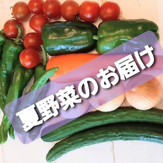 夏のお野菜セット。(野菜)