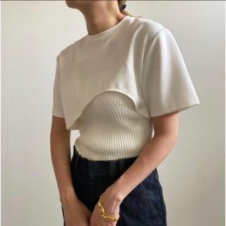 アメリヴィンテージ(Ameri VINTAGE)のAmerivintage MEDI KNIT BUSTIER COMBI TEE(Tシャツ(半袖/袖なし))