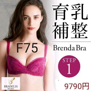 ブラデリスニューヨーク(BRADELIS New York)の育乳ブラデリス☆日本製☆9790円☆STEP１/F75 ブレンダブラ Ｆピンク(ブラ)