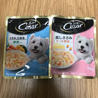 シーザー 犬用 低脂肪フード 4個300円(ペットフード)