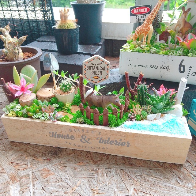 しいも様 専用  多肉植物 寄せ植え ハンドメイドのフラワー/ガーデン(その他)の商品写真