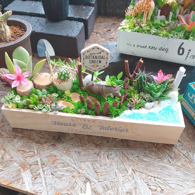 しいも様 専用  多肉植物 寄せ植え ハンドメイドのフラワー/ガーデン(その他)の商品写真