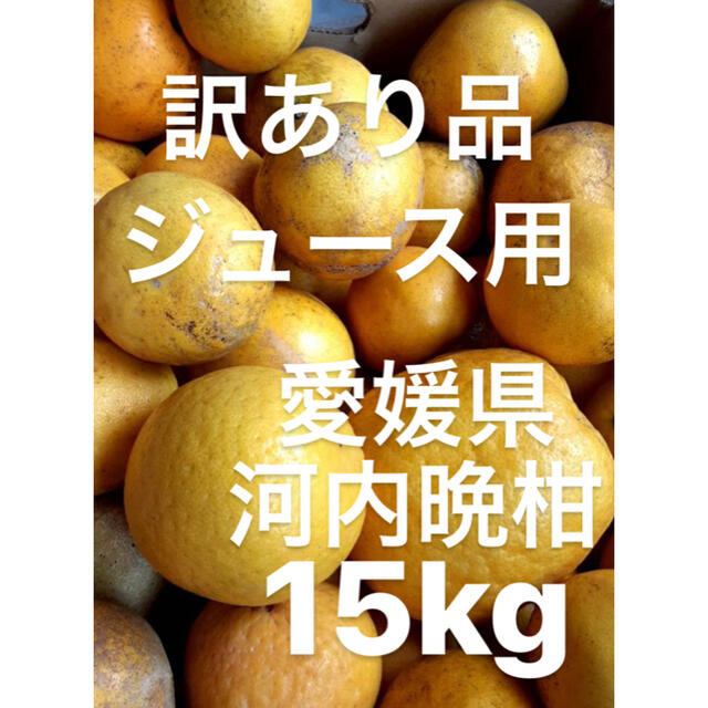 訳あり品　愛媛県　宇和ゴールド　河内晩柑　ジュース用　15kg 食品/飲料/酒の食品(フルーツ)の商品写真