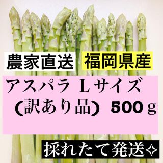 アスパラＬサイズ(訳あり品)即購入OKです(野菜)