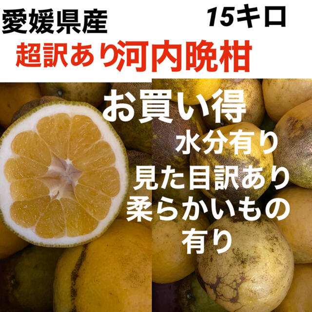 愛媛県産　超訳あり河内晩柑15キロ 食品/飲料/酒の食品(フルーツ)の商品写真