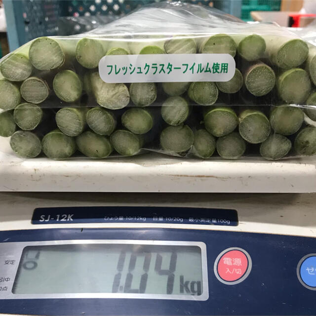 北海道産　グリーンアスパラLサイズ1kg 食品/飲料/酒の食品(野菜)の商品写真