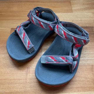 テバ(Teva)のteva サンダル(サンダル)