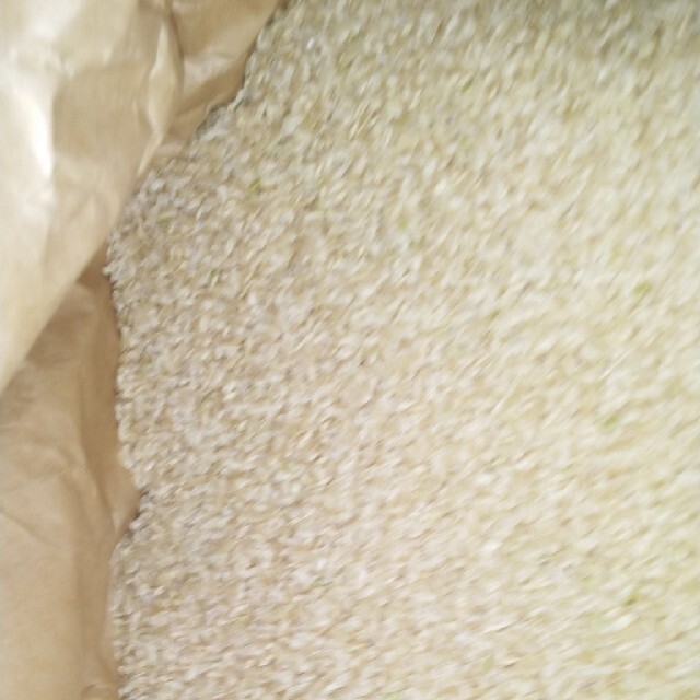 令和2年産栃木県特一等米コシヒカリ玄米30キロ無農薬にて、作ったお米です!!